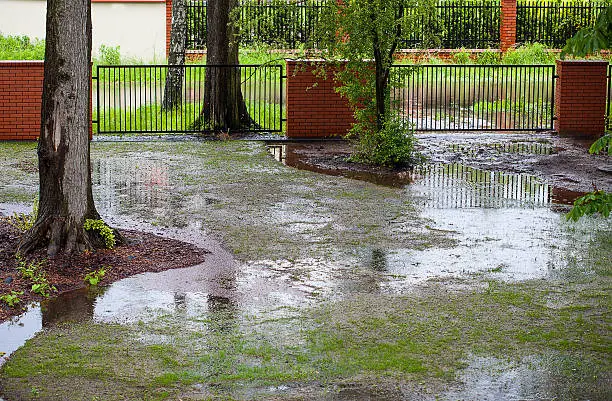 Poor drainage in a yard