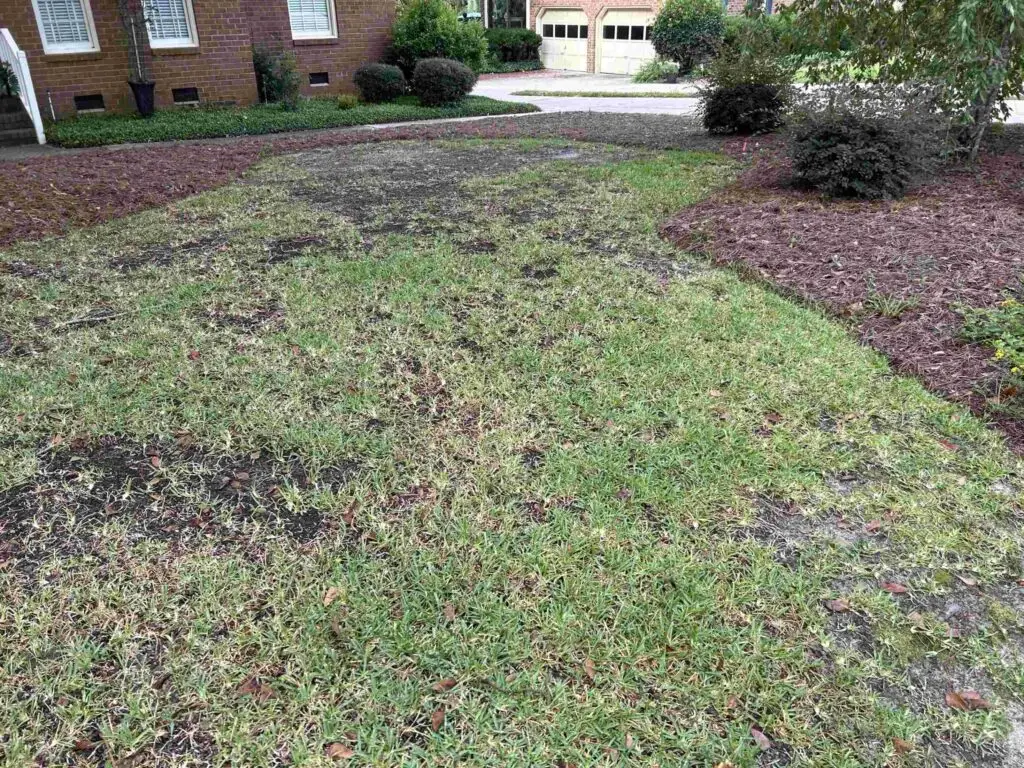 Before photo of a damaged lawn