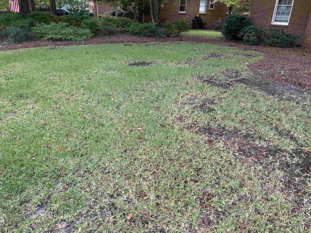 Before photo of a damaged lawn